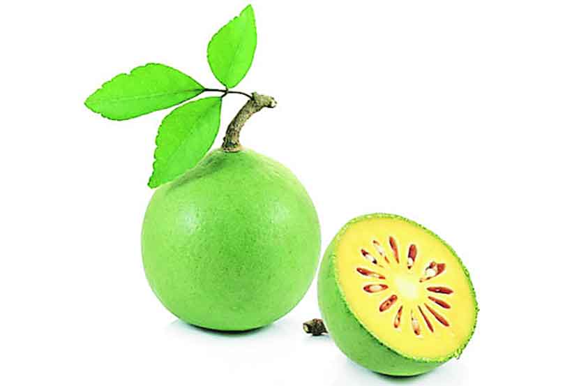 आयुर्मात्रा : बेल