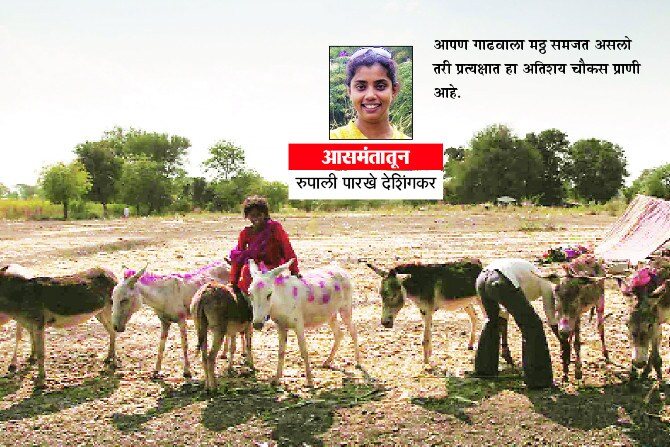 जंगलाची भूषणं!