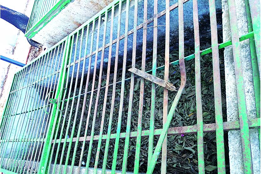 ‘कर्मवीर’ महाविद्यालयात कचऱ्यापासून कंपोस्ट खत