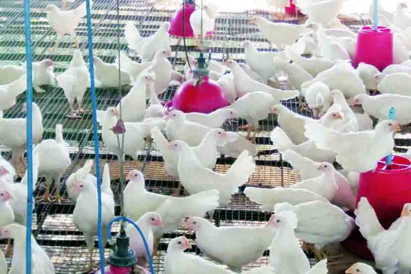 आरोग्यविषयक प्रश्नांवर संमिश्र प्रतिक्रिया