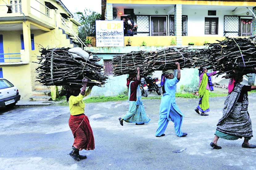 संजय गांधी राष्ट्रीय उद्यानातील आदिवासींना आजही उपजीविकेसाठी लाकूडफाटा गोळा करावा लागतो.