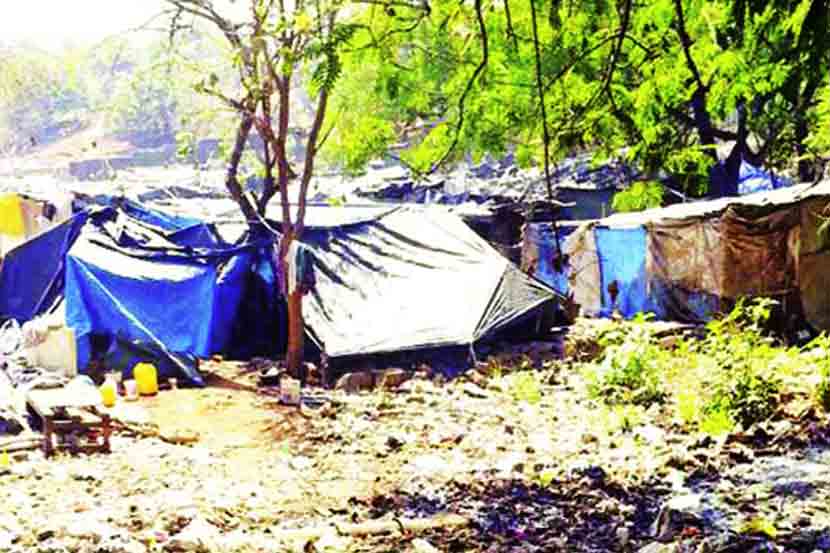 ‘आरे’च्या हरितपट्टय़ाला अतिक्रमणांचे ग्रहण