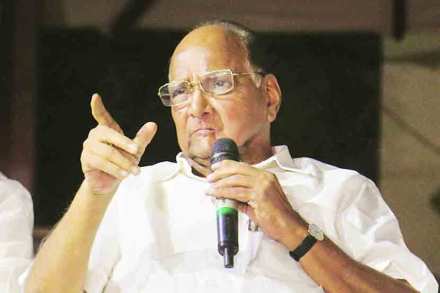 sharad pawar, ncp