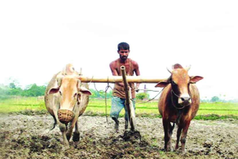 शेतीचा बाजार कसा उजरणार?