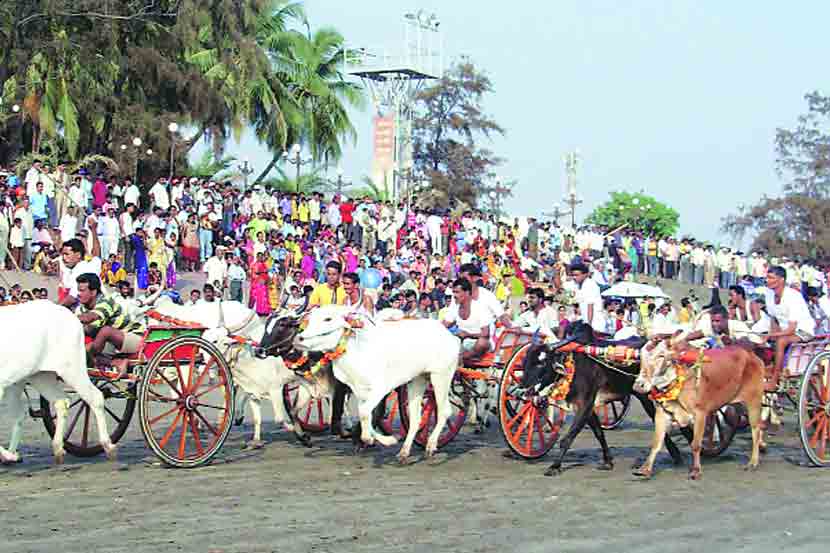 राज्यसरकारने बलगाडी स्पर्धाबाबत अध्यादेश काढावा