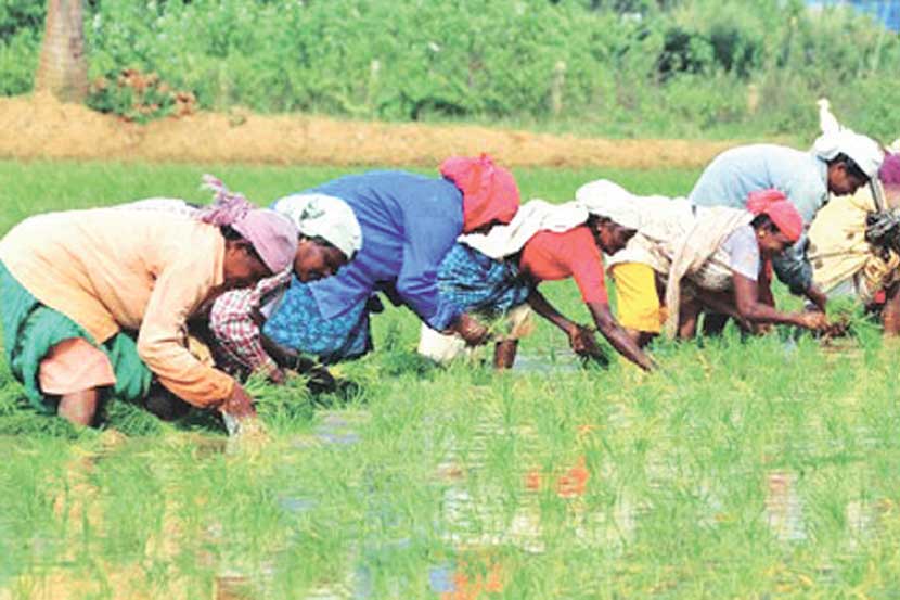 एमपीएससी मंत्र : महाराष्ट्र कृषी सेवा  मुख्य परीक्षा भाग – २