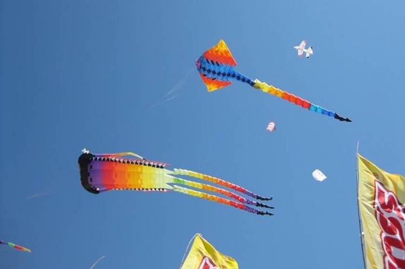 loksatta, marathi news paper, news paper, news online, marathi news, marathi news online, newspaper, news, latest news in marathi, current news in marathi,sport news in marathi, bollywood news in marathi, makar sankranti festival, makar sankranti date, Makar sankranti 2017,makar sankranti kites, Makar Sankranti news, Makar Sankranti photos, Makar Sankranti videos, Makar sankranti Muhurt, makar Sankranti Worship Tips, dharma karma, Makarsankranti festival 2017, Makarsankranti festival date and time, Know more about Makarsankranti festival, Why we celebrate makarsankrant