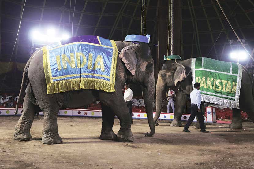 या सर्कशीतील हत्तीणींचे आरोग्यमान खालावले असल्यानेच आम्ही त्यांच्या विरोधात तक्रार केली होती.