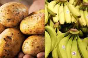 केळी, बटाटय़ातील प्रतिरोधक स्टार्चचा आरोग्यास फायदा