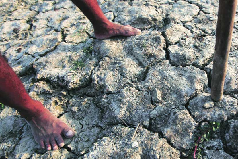 कृषी कार्यक्षमता, आर्थिक सुरक्षितता व समानता कशी आणता येईल? 