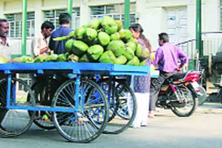 coconut-water