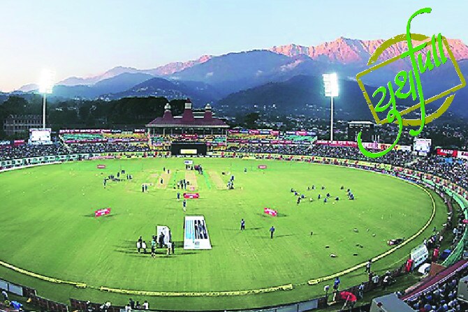 cricket
