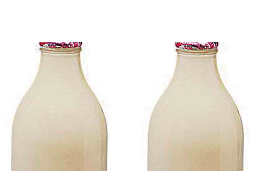 milk bottle