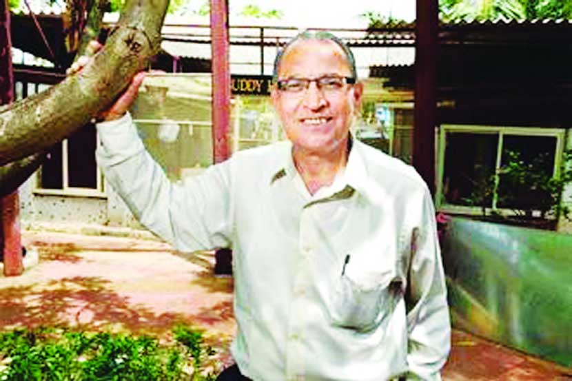 प्राण्यांवर उपचारांचे प्रयोग नकोत!