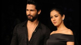 shahid kapoor, mira rajpoot