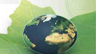 avt natural products
