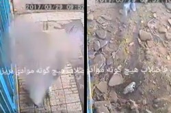 Viral Video : ध्रुमपान ‘स्फोट’कारकही ठरू शकते