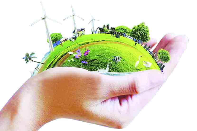environmental issue