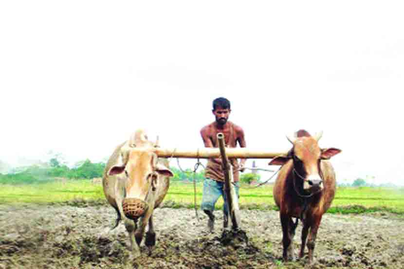 अमरावती विभागातील प्राथमिक पतपुरवठा संस्था मोडकळीस