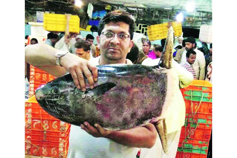 एक दुर्मीळ व अजब आकाराचा आणि अडीच फूट लांब मासा एका मच्छीविक्रेत्याला वसई व मुंबईदरम्यानच्या समुद्रात सापडला. 
