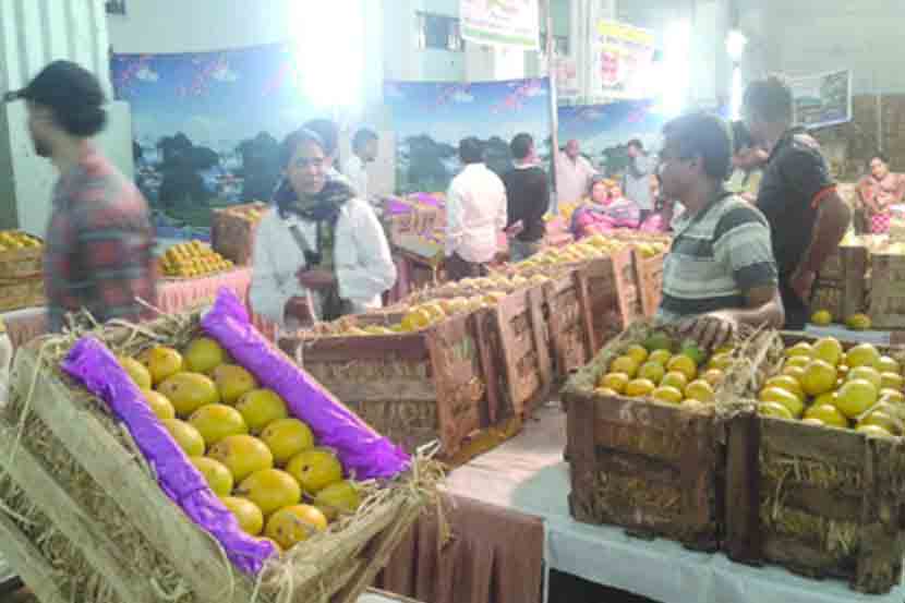 कोकण पर्यटन विकास संस्थेच्या वतीने भरविण्यात आलेल्या आंबा महोत्सवमध्ये ग्राहकांनी लावलेली हजेरी. 