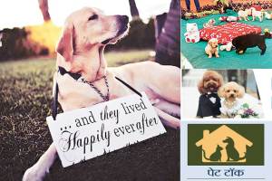 pet animals couple