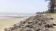 uran seashore