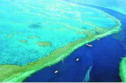 जलपरीच्या राज्यात : महासागरातली आश्चर्ये