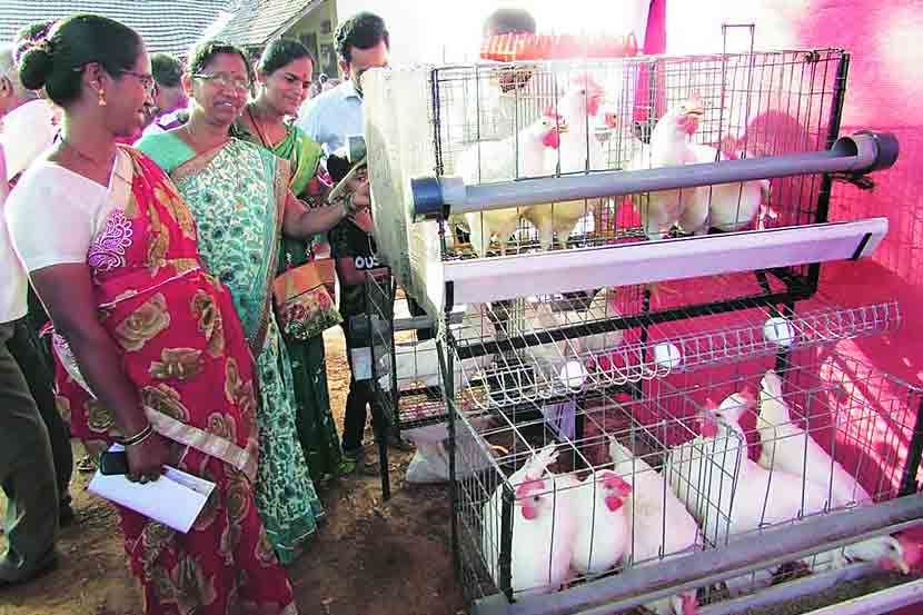 सिंधुदुर्ग जिल्ह्य़ात दररोज सुमारे ५० हजार अंडी विकली जातात. ही अंडी शेजारच्या कर्नाटकातून सिंधुदुर्गातील बाजारात आयात होतात. अंडी आयात करण्याऐवजी जिल्ह्य़ातच अंडय़ांचे उत्पादन सुरू केले तर रोजगाराची संधी निर्माण होईल