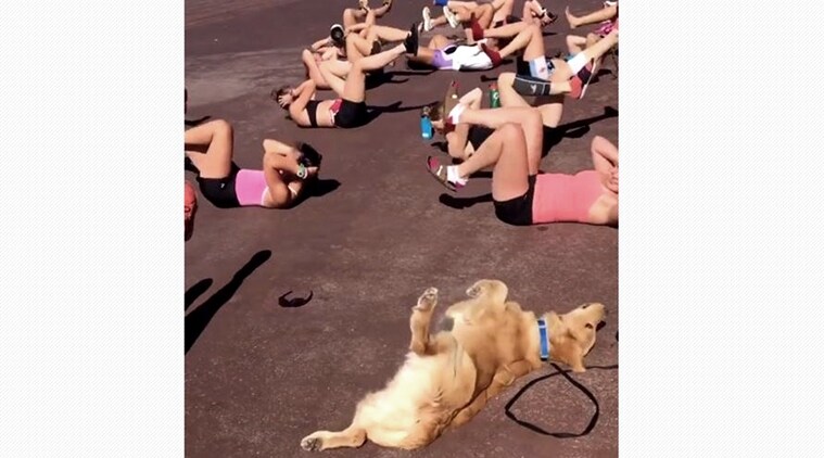 ( छाया आणि व्हिडिओ सौजन्य : Stanford women’s crew/Instagram)