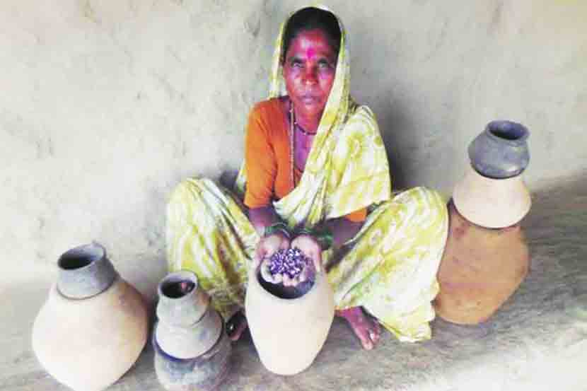राहिबाईची ‘बियाणे बँक’