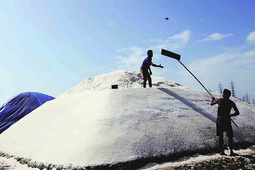 salt-farming