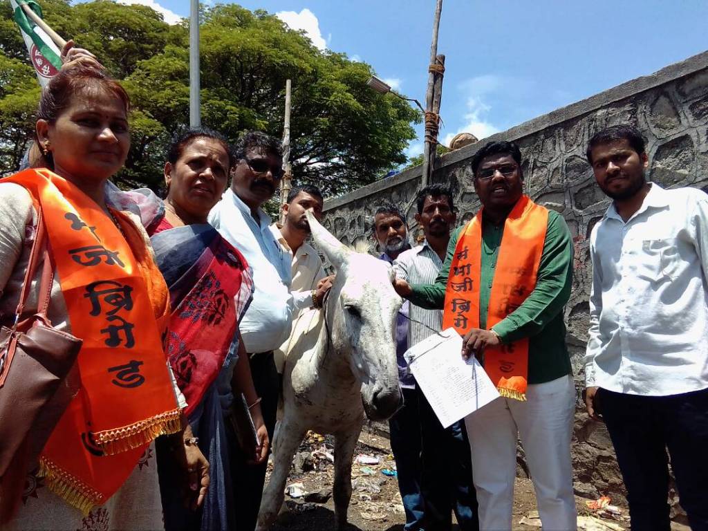 donkey, sanghana's activist