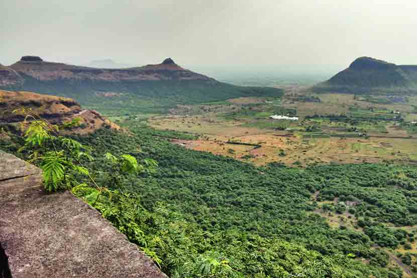 बोरगड संवर्धन राखीव हे असंच लोकसहभागातून उभं राहिलेलं वन.