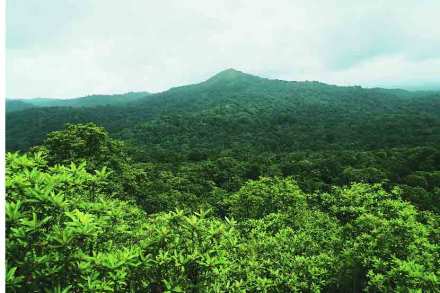 Agumbe Hill Station