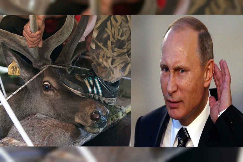 Vladimir Putin, Russian media