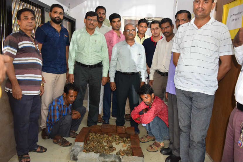 ‘स्टार’ कासवांची तस्करी करणाऱ्या बाप आणि मुलाला बेड्या