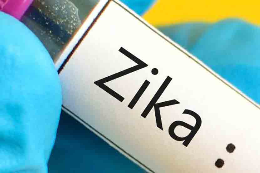 zika virus