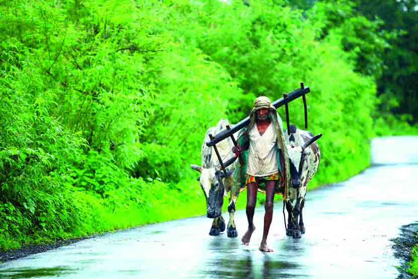 ( संग्रहीत प्रतिकात्मक छायाचित्र )