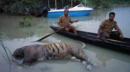 Assam floods, Kaziranga National Park