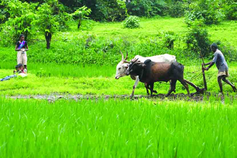 कर्जमाफीचे अर्ज भरताना शेतकऱ्यांचा गोंधळ