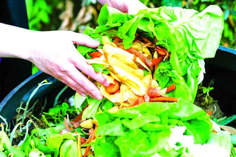 कचऱ्यासाठी खतकंपन्या मुंबईकरांच्या दारात