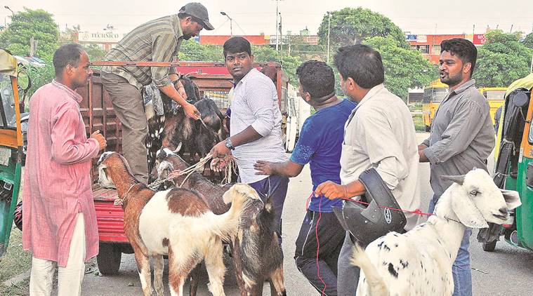 संग्रहित छायाचित्र