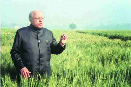 scientist M S Swaminathan