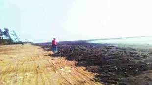 Crude Oil spilled