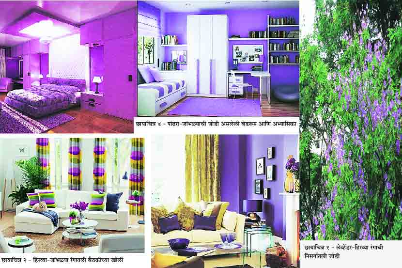 Purple Paint Colors