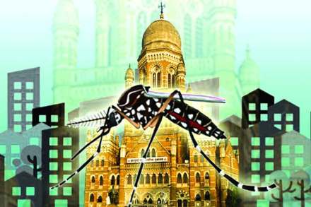 dengue patients found in mumbai