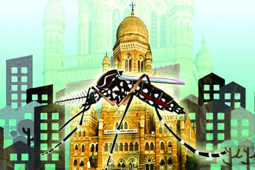 dengue patients found in mumbai