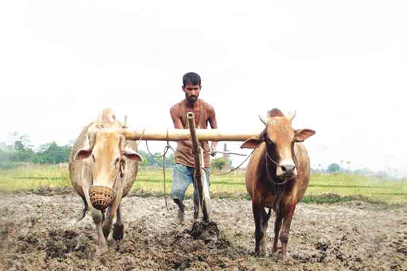 farmers debt waiver