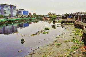 Mithi river polluted